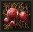 Scarlet Rot